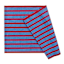 Red/Blue Striped Woven Pet Layering Rug 24X36