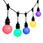 12-Count LED Color Change G60 Globe String Lights Black Commercial Wire with Remote & Timer