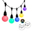 12-Count LED Color Change G60 Globe String Lights Black Commercial Wire with Remote & Timer