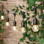 15-Count Solar LED G40 Filament Globe String Lights with Black Commercial Wire