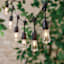 24-Count LED Filament Bulb Edison String Lights with Black Commercial Wire