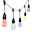 12-Count LED Color Change Edison String Lights Black Commercial Wire with Remote Control & Timer