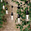 12-Count LED Color Change Edison String Lights Black Commercial Wire with Remote Control & Timer