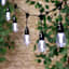 12-Count LED Color Change Edison String Lights Black Commercial Wire with Remote Control & Timer