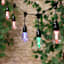 12-Count LED Color Change Edison String Lights Black Commercial Wire with Remote Control & Timer