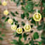 10-Count LED Lemon String Lights with Timer