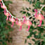10-Count LED Flamingo String Lights