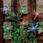 10-Count Solar LED Color Change Dragonfly String Lights