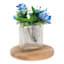 Clear Rectangle Ribbed Vase, 7"