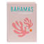 Large Light Pink Bahamas Book Box, 11x8.5x2.8