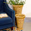 Natural Water Hyacinth Pedestal Vase, 17"