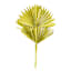 Olive Sun Spear, 19"