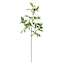 Green Ficus Spray, 30"