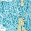 Blue Easter Grass