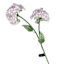 Providence Metal Flower Stake with Solar, Purple