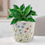 Indoor Bloom Garden Planter, Small