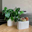 Crosby St. Indoor Harlow Pleat White Planter, Small