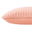 Honeybloom 2-Pack Pink Washed Microfiber Throw Pillows, 24"