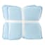 Providence 2-Pack Light Blue Embroidered Washed Microfiber Throw Pillows, 24"