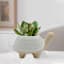 Indoor Handpainted Turtle Planter, 6"