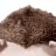 Hedgehog Plush Toy, 30"