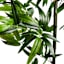 Potted Bamboo Tree, 6'