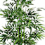 Potted Bamboo Tree, 6'
