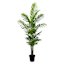 Potted Areca Palm Plant, 6'