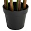 Potted Areca Palm Plant, 6'