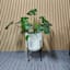 White Planter with Metal Stand, Medium