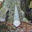Green Gnome Outdoor Garden Statue, 12"