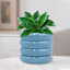 Sunny Club Indoor Blue Ceramic Planter, Small