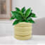 Sunny Club Indoor Yellow Ceramic Planter, Small