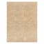 (E457) Ruby Natural Flatweave Outdoor Area Rug, 9x12
