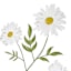 Honeybloom White Daisy Metal Yard Stake, 36"
