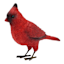 Red Cardinal Outdoor Garden Statue, 5.7"