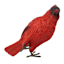 Red Cardinal Outdoor Garden Statue, 5.7"