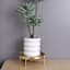 9In Gold Metal Plant Riser