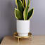 8In Gold Metal Plant Riser