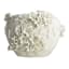Providence 3D Flower Ceramic Pot, 7"