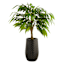 Oxnard Tall Black Outdoor Planter, Medium
