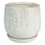 Indoor Vine Cream Embossed Planter, Medium