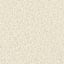 Lainey Ivory Border Accent Rug, 27x45