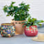 Terracotta Rope Outdoor Planter, Medium