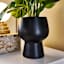 Varigated Rubber Plant in Ceramic Pot, 22"