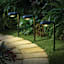 15-Lumen Solar Black Down Pathway Light