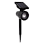 20-Lumen Solar Black Spotlight