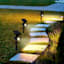 20-Lumen Solar Black Spotlight