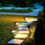 250-Lumen Solar Black Spotlight