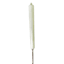 Natural Citronella Flare Candle, 7oz